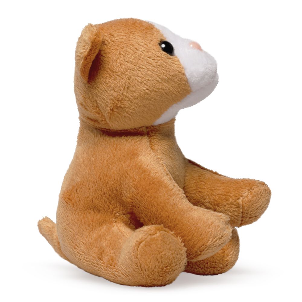 AN521 LITTLE Kitten 13cm