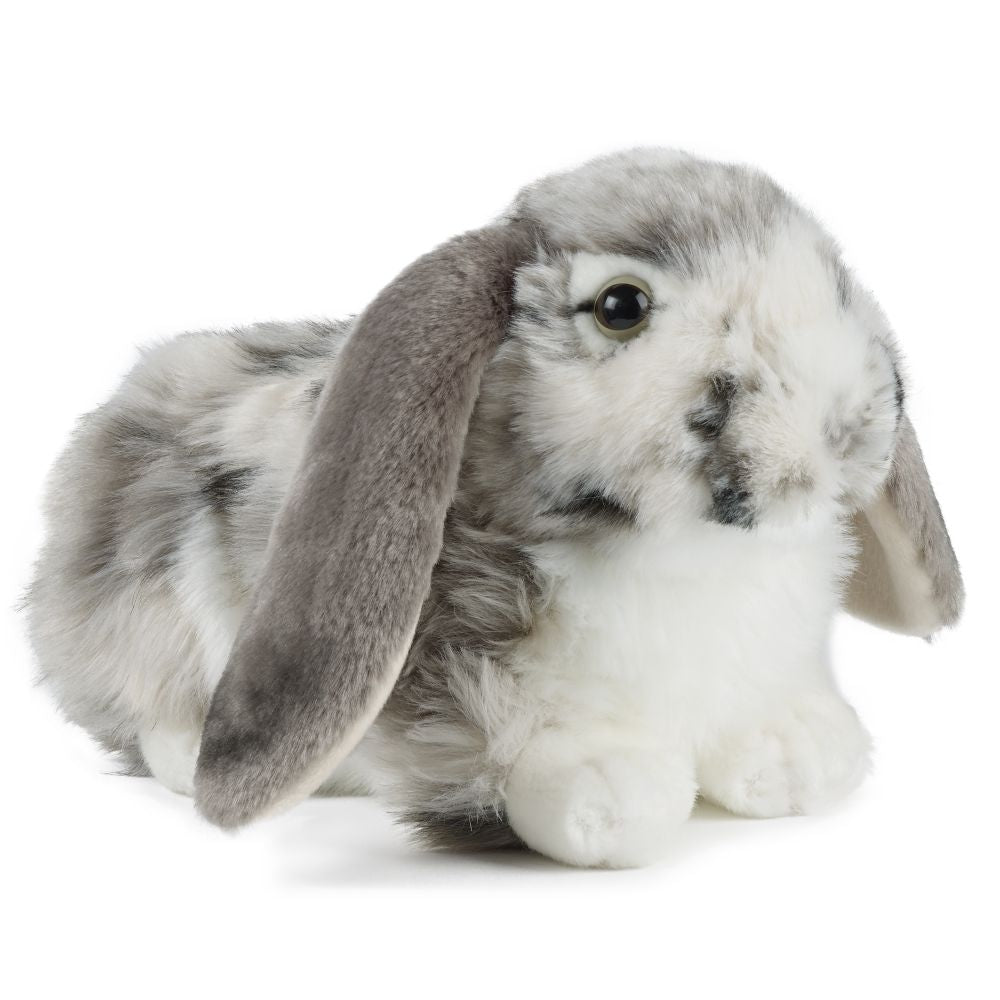 AN316G Dutch Lop Eared Rabbit Grey 30cm