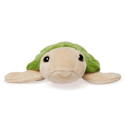 AN534 LITTLE Turtle 16cm