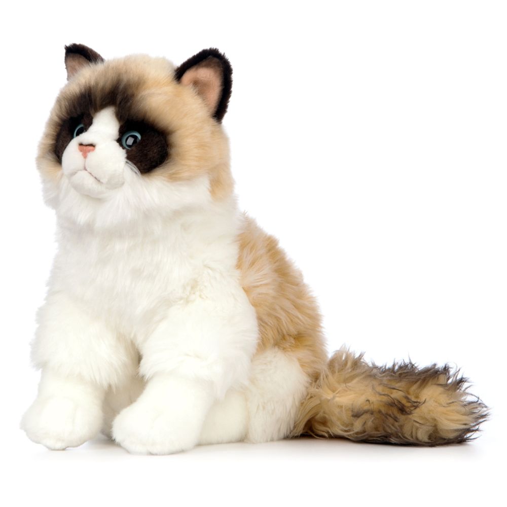 AN567 Ragdoll Cat 25cm