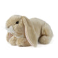 AN40LB Light Brown Lop Eared Rabbit 24cm
