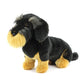 AN647 Wire Haired Dachshund