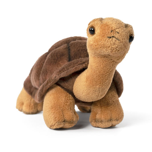 AN726 Leopard Tortoise 22cm