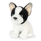 AN776 French Bulldog Puppy Black and White