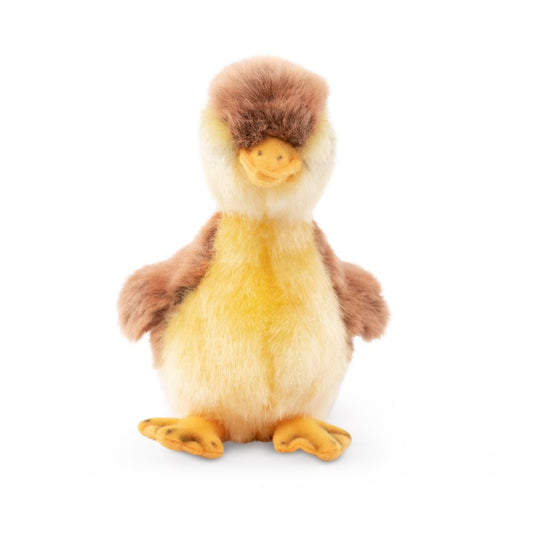 AN789 Mallard Duckling 17cm