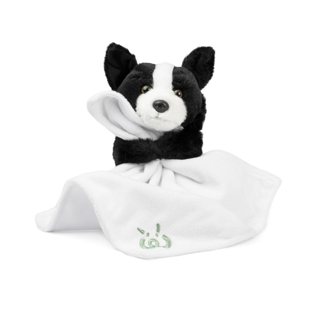 AN12PB Baby Pets With Blanket