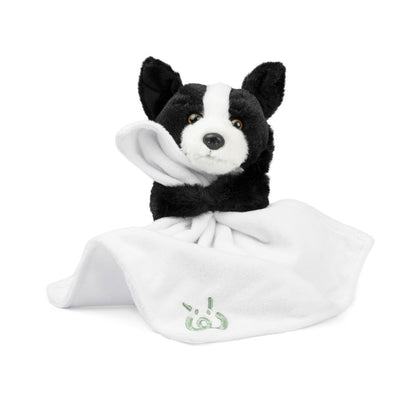 AN12PB Baby Pets With Blanket