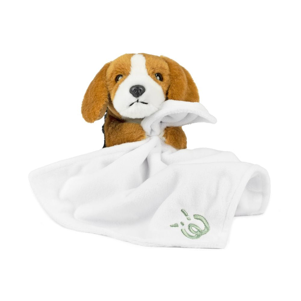 AN12PB Baby Pets With Blanket