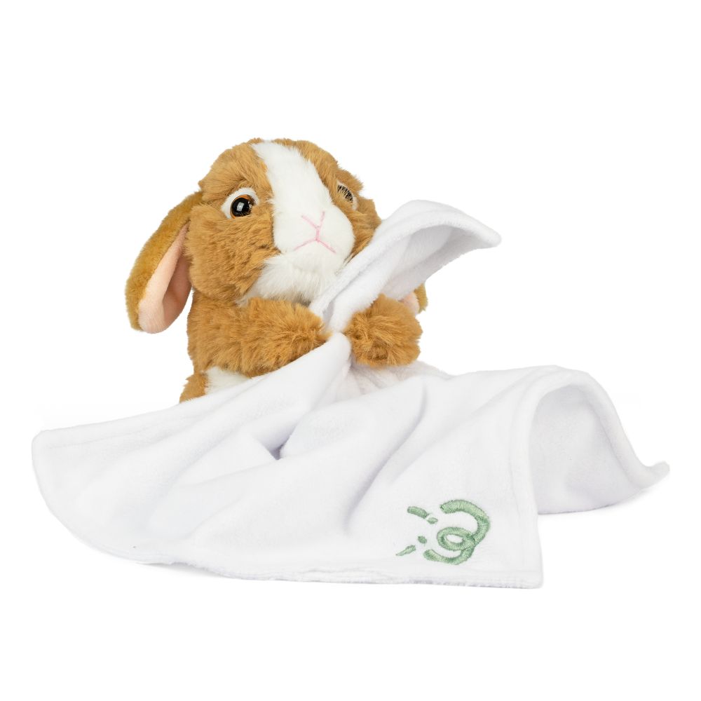 AN12PB Baby Pets With Blanket