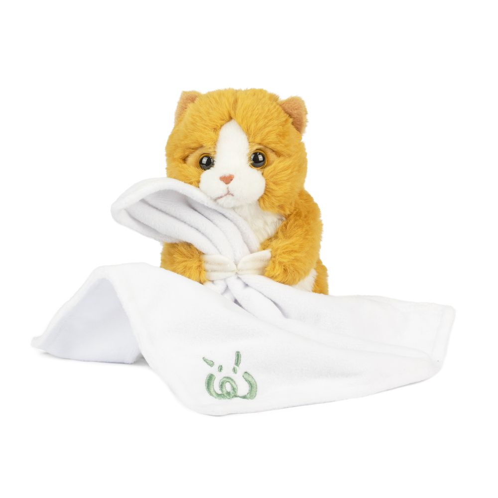 AN12PB Baby Pets With Blanket