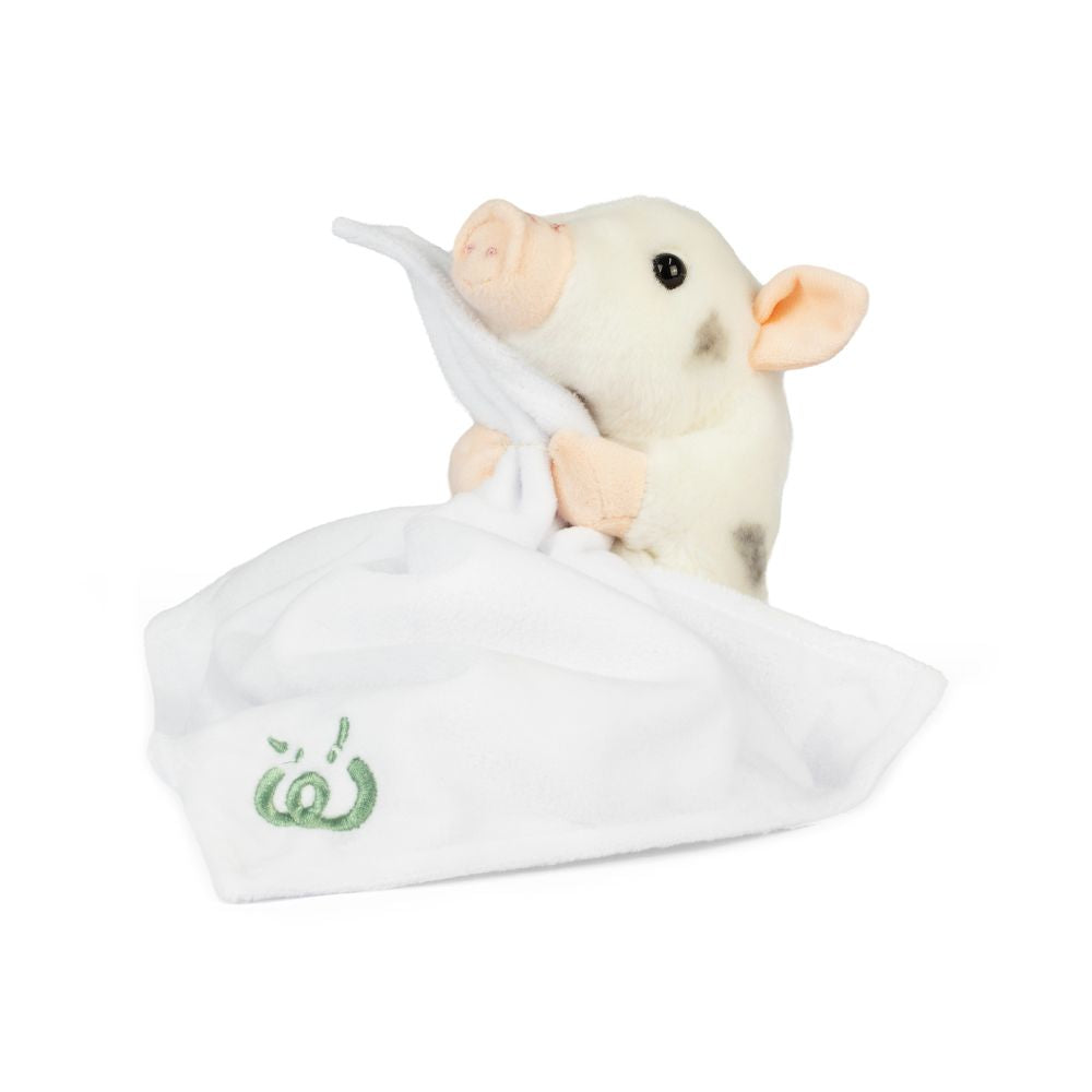 AN12PB Baby Pets With Blanket