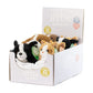 AN12PB Baby Pets With Blanket