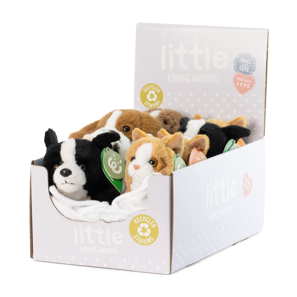 AN12PB Baby Pets With Blanket
