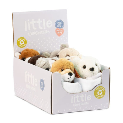 AN12WB Baby Wildlife With Blanket