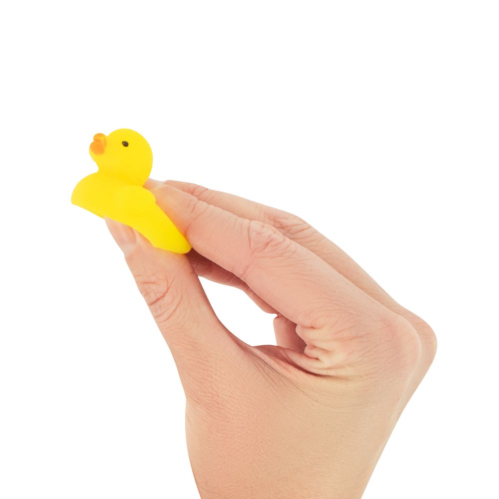 NV927 Squishy Mochi Ducks in box