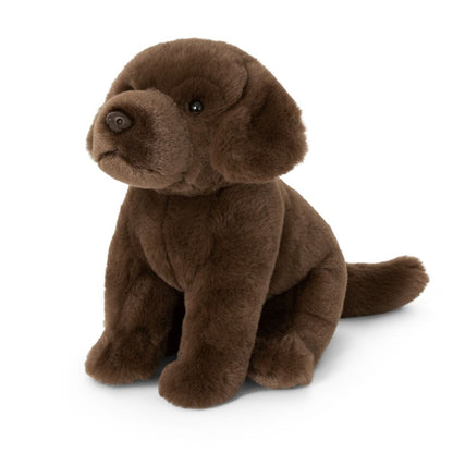 AN458-SS Super Soft Chocolate Labrador