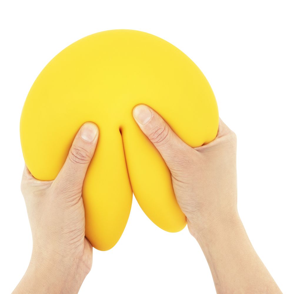 NV1029 The Big Squij Fortune Cookie 19 cm