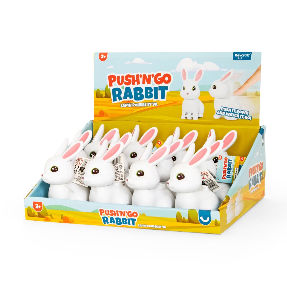 NV1101 Push 'n' Go Rabbit