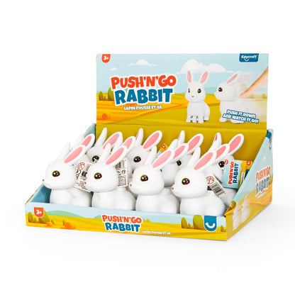 NV1101 Push 'n' Go Rabbit