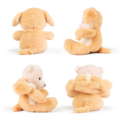 AN09DG LITTLE Dress Up Bear - Dogs 20cm