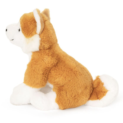 AN821-SS Super Soft Shiba Inu