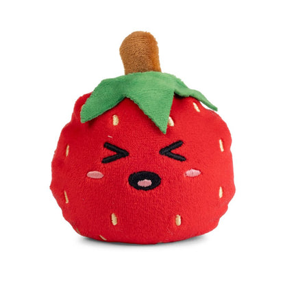 FP14FT Fruit Squishy Plushies