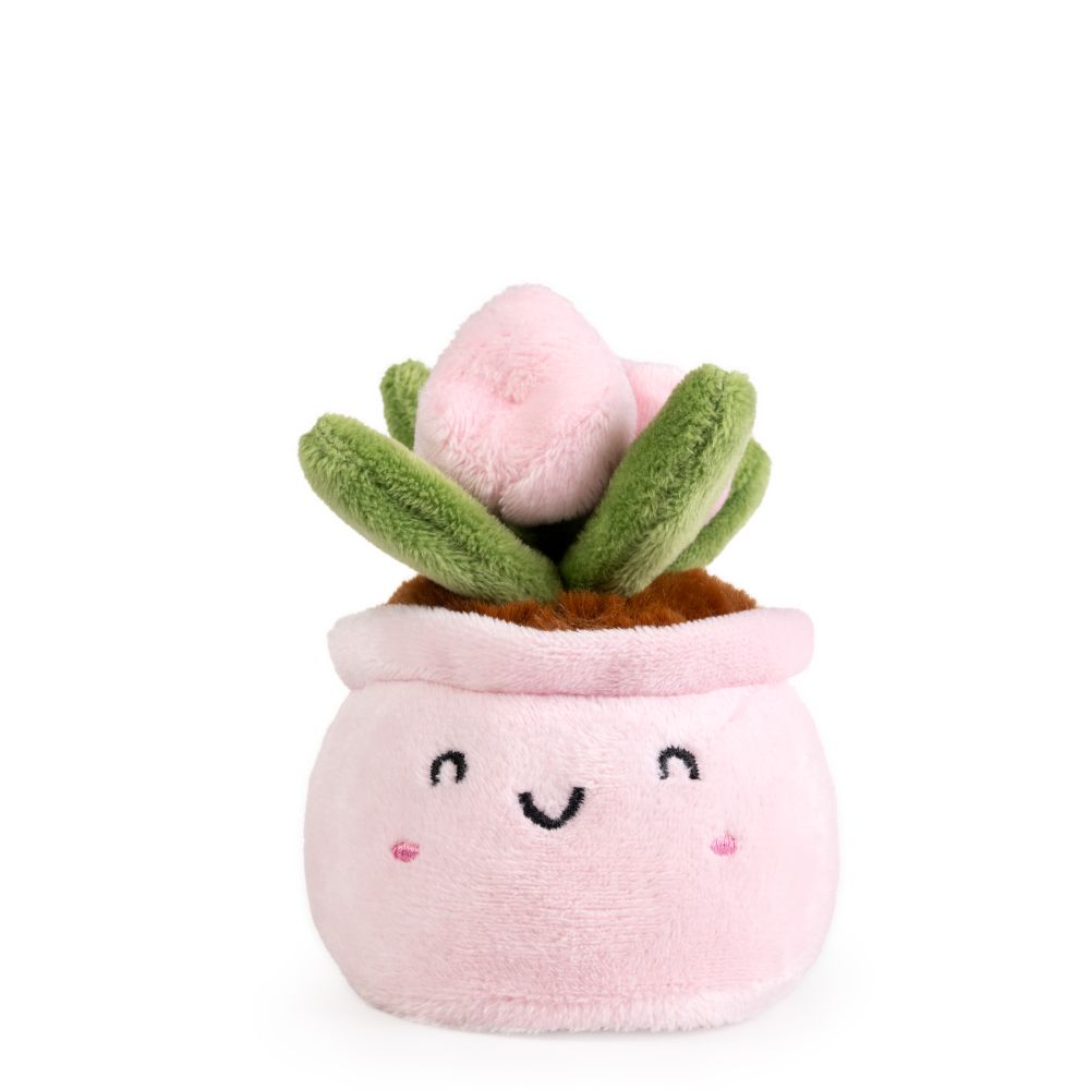 AN19PLA LITTLE GREENS Cute Plants