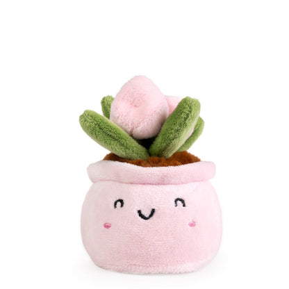AN19PLA LITTLE GREENS Cute Plants