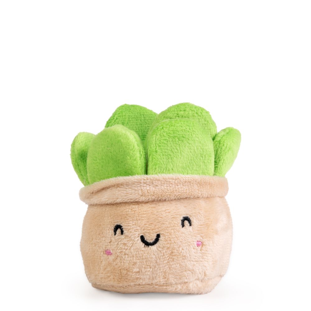 AN19PLA LITTLE GREENS Cute Plants