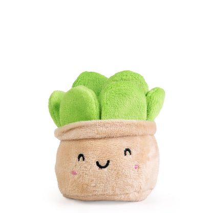 AN19PLA LITTLE GREENS Cute Plants