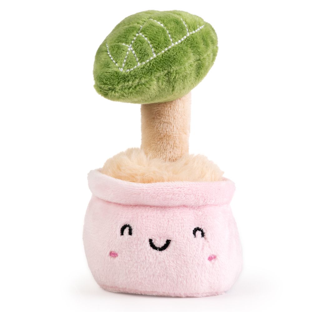 AN19PLA LITTLE GREENS Cute Plants