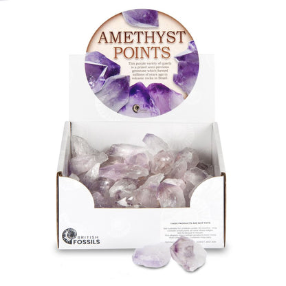 RM02AP Amethyst Points