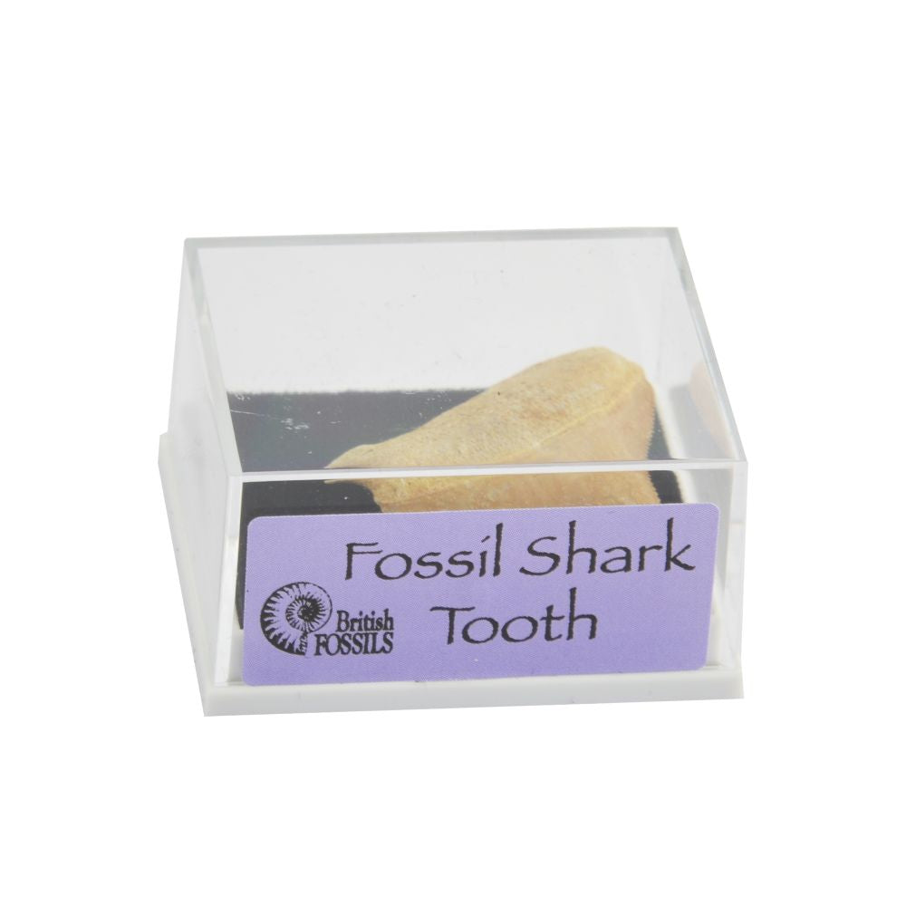 RM03 Minerals in Boxes Assorted