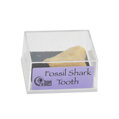 RM03 Minerals in Boxes Assorted