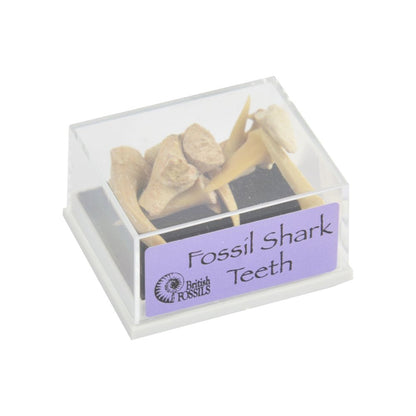 RM03 Minerals in Boxes Assorted