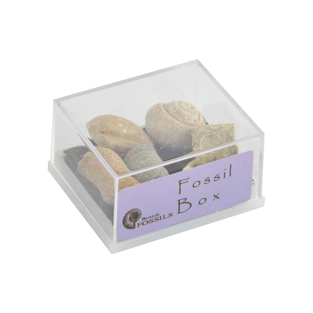 RM03 Minerals in Boxes Assorted