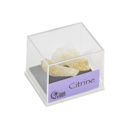 RM03 Minerals in Boxes Assorted