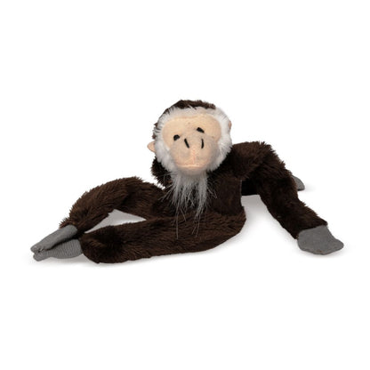 PL043 Monkey Magnet Mates 23cm