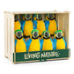 DS1107 Living Nature Gondola A Frame Display Stand