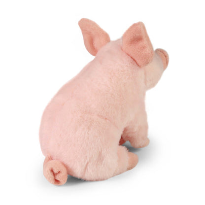 Plush Pig 18 cm
