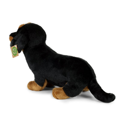 Plush Dachshund 32 cm