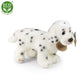 Plush dalmatian 20 cm