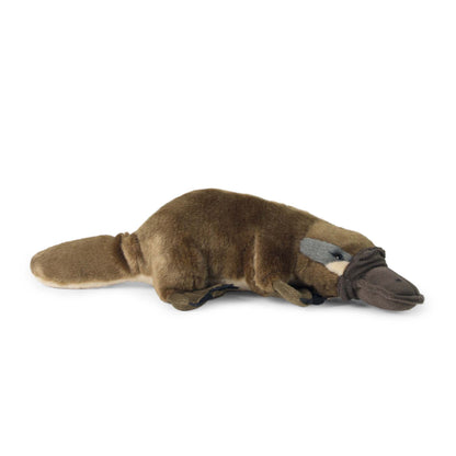 Plush platypus 30 cm