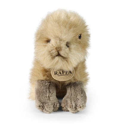 Plush capybara 18 cm