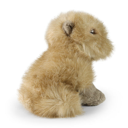 Plush capybara 18 cm