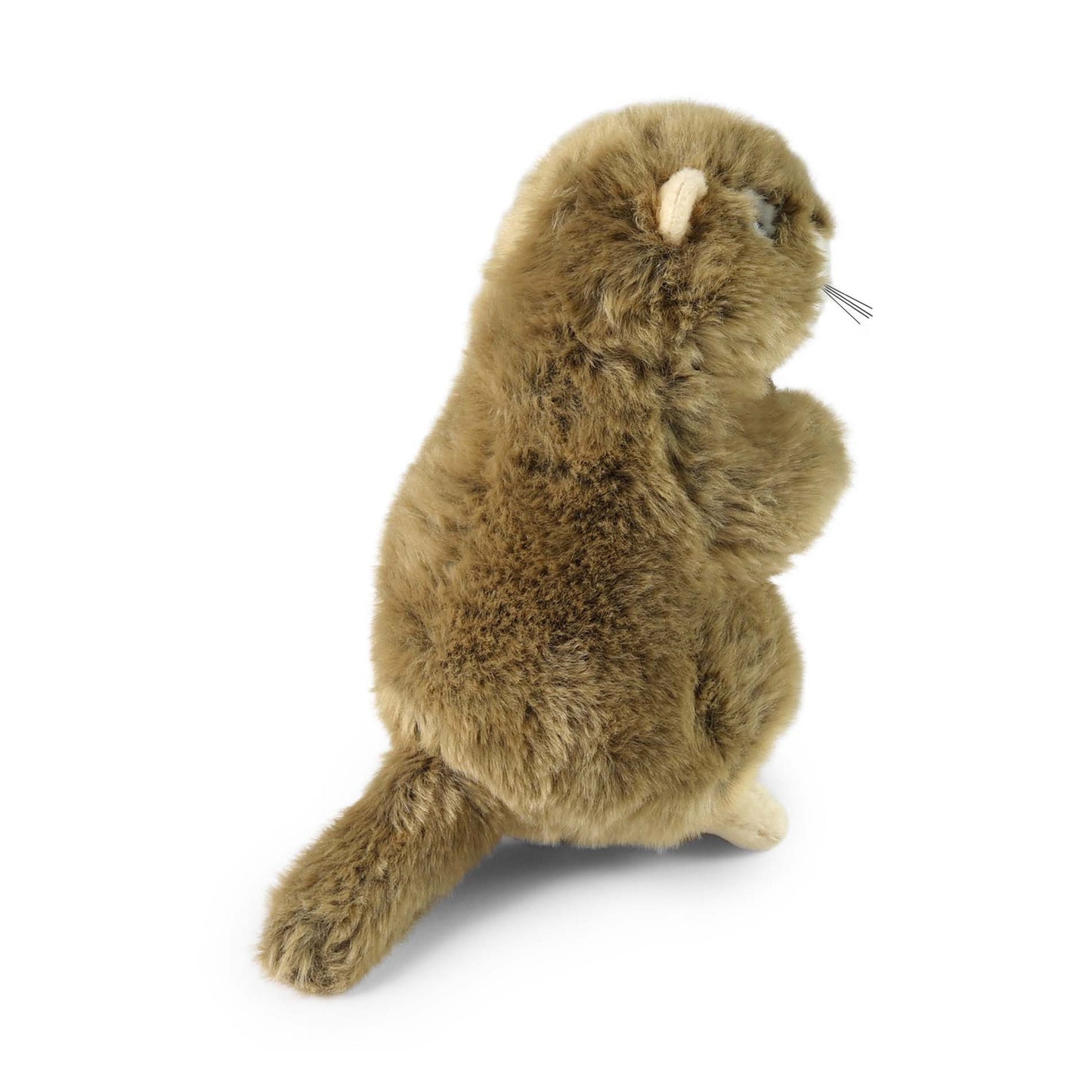 Plush marmot 23 cm