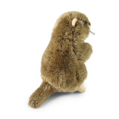 Plush marmot 23 cm