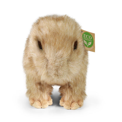 Plush capybara 30 cm