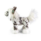Plush chinese dog 25 cm