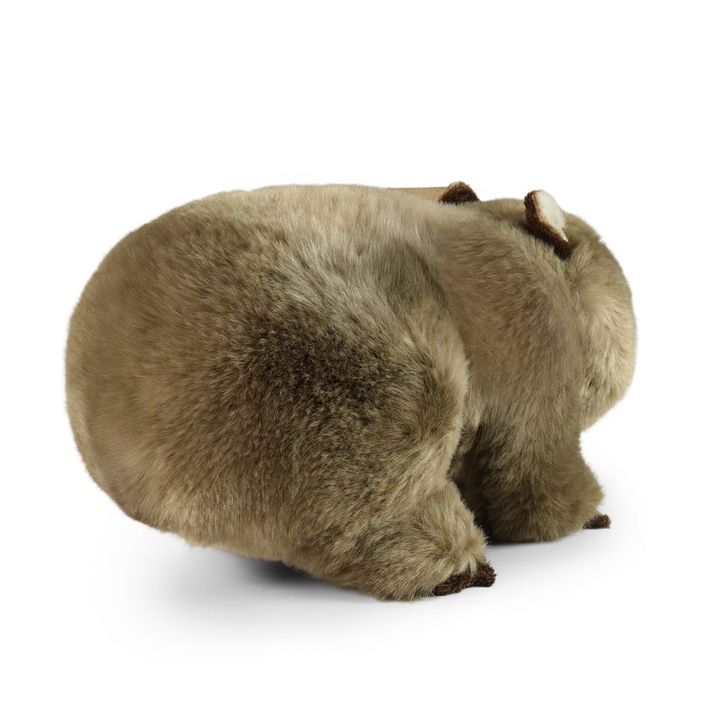 Plush Wombat 28 cm